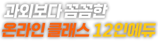 과외보다 꼼꼼한 온라인 클래스 12인에듀