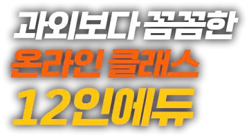 과외보다 꼼꼼한 온라인 클래스 12인에듀